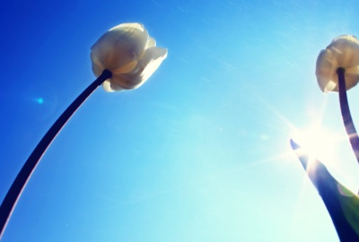 苹果工人病逝|苹果老总什么病死的