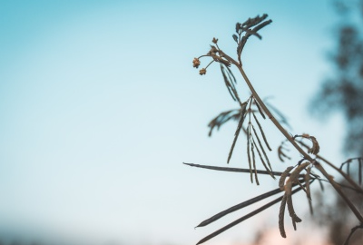 如何去除电脑系统保护密码|电脑保护怎么设置密码