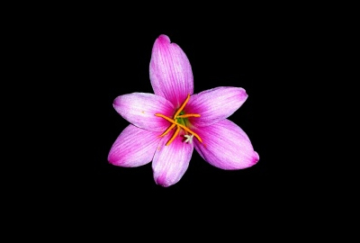 苹果电脑的主板锁怎么解|苹果手机主板锁了能解开吗