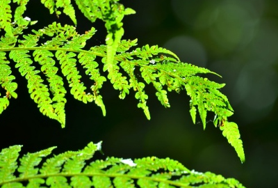 电脑关机之后冒火花|电脑关机之后冒火花怎么办